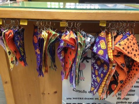 14517453_10154677646214883_4573111712357865855_n