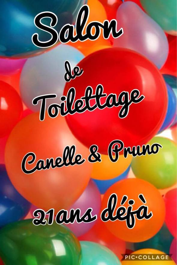 17195241_10154395938276659_937775133_o