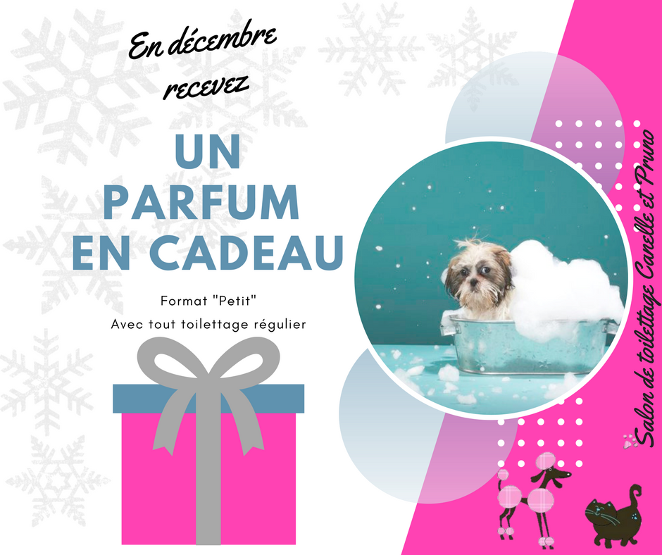 24337611_10155983394779187_133513272_n