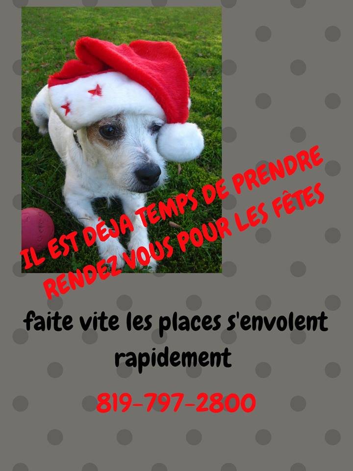 45152566_10157065867209883_1263810099831373824_n